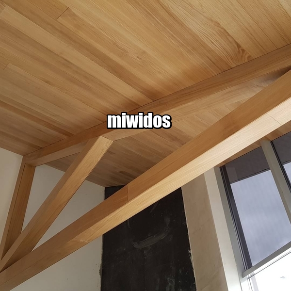   MIWIDOS